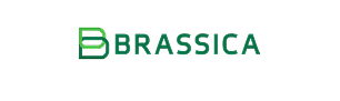 Brassica Pay